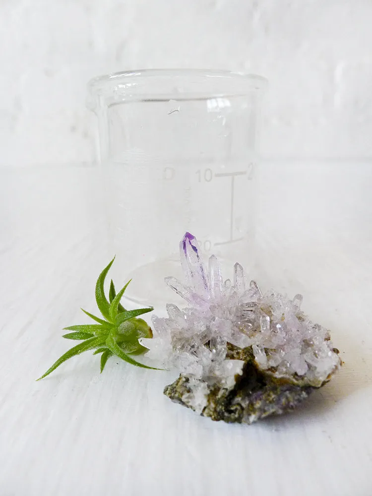 10% SALE Mini Tiny Science Beaker with Magic Matrix Quartz Air Plant Planet Live Inside