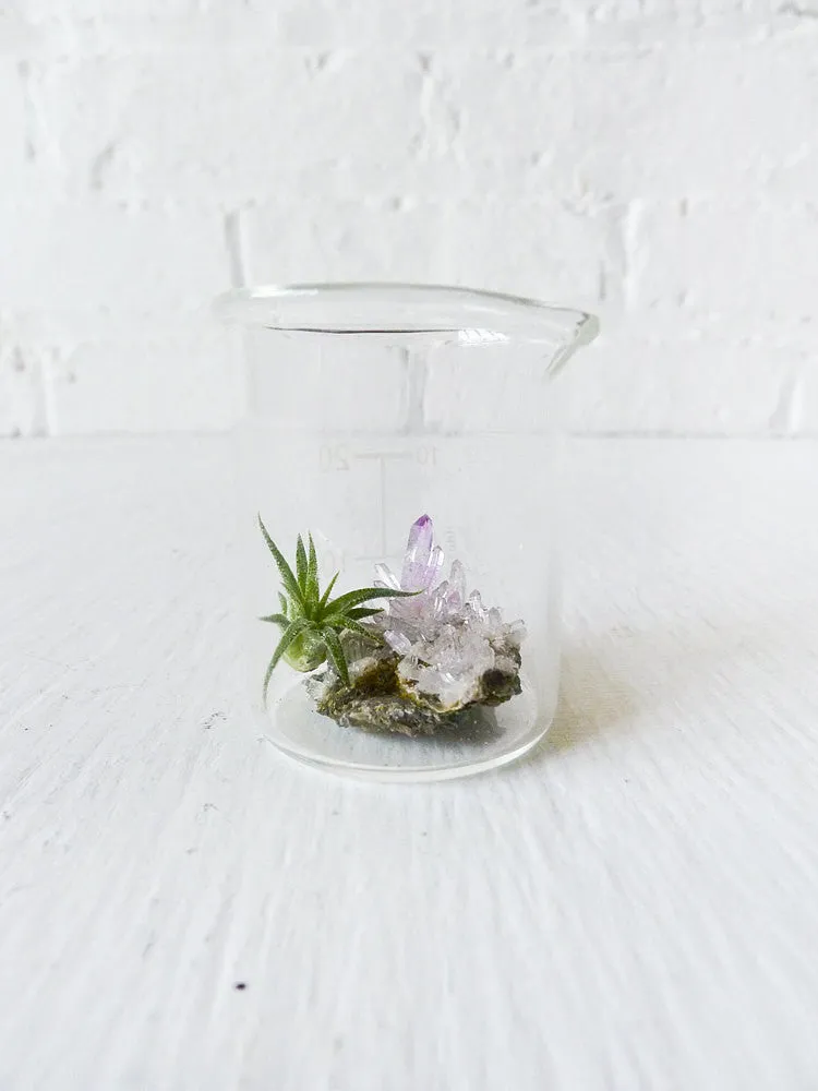 10% SALE Mini Tiny Science Beaker with Magic Matrix Quartz Air Plant Planet Live Inside