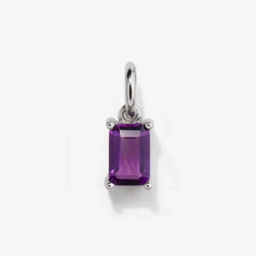 Amethyst Silver Charm