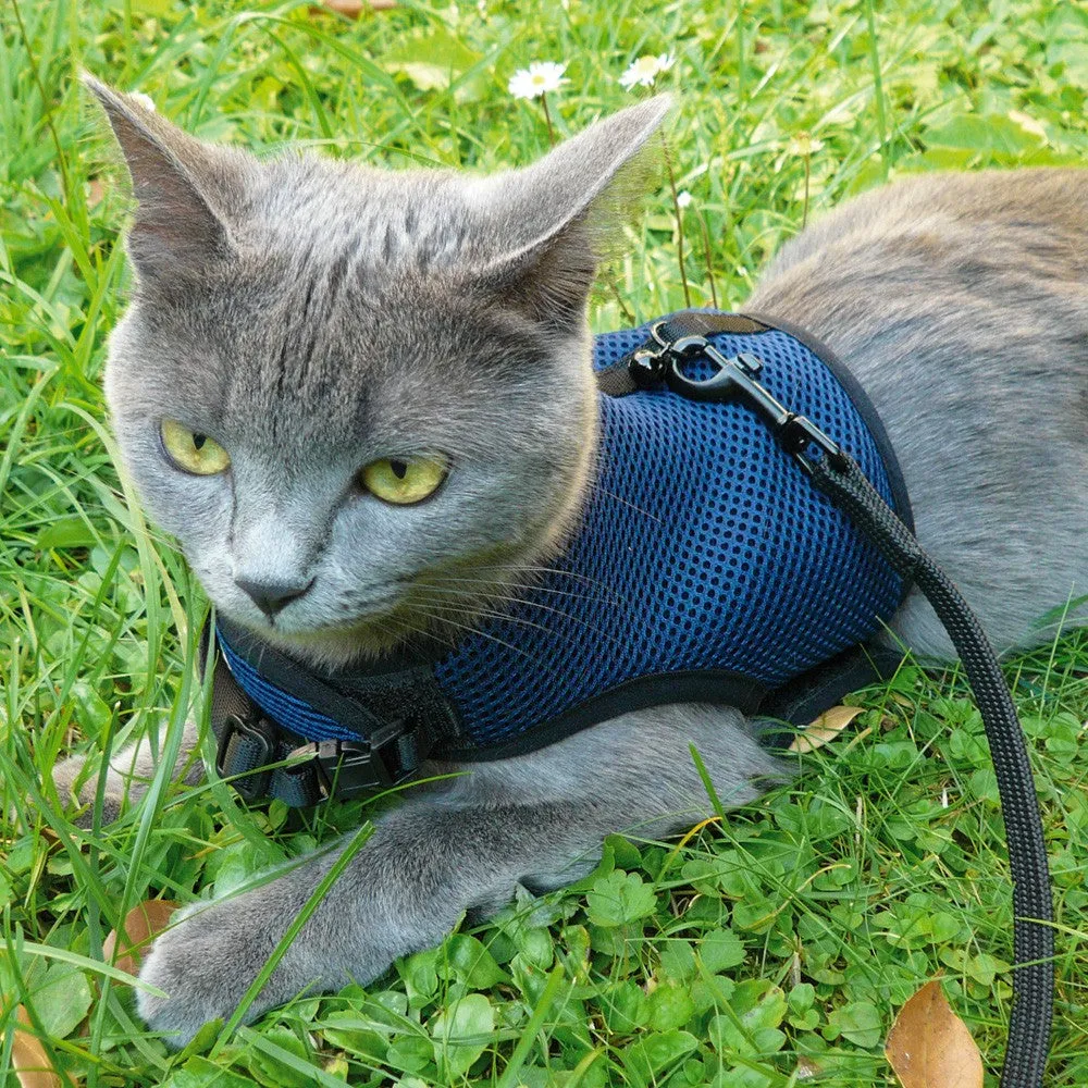 Ferplast Jogging Harness Extra Large