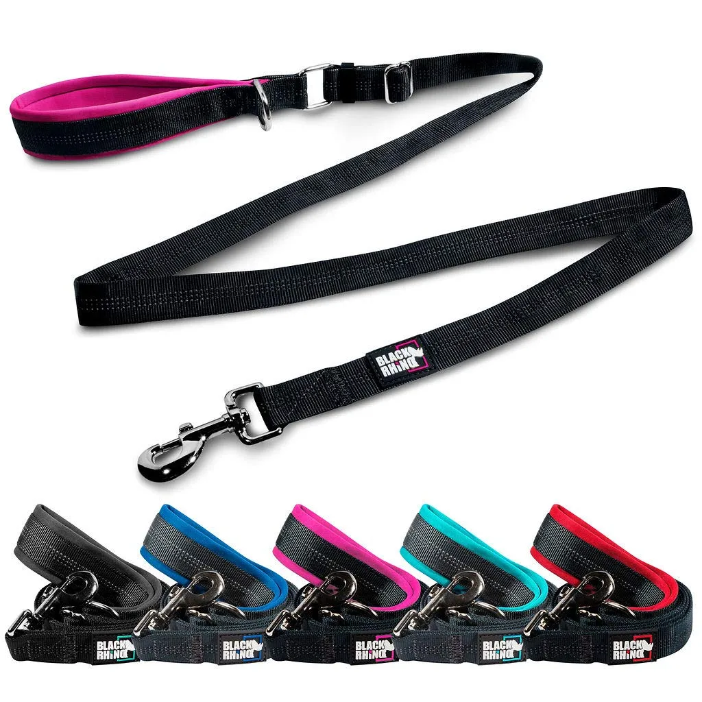 Training Dog Leash With Padded Handle Adjustable